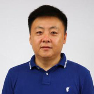 专家